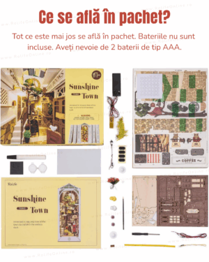 orasul-insorit-ce-se-afla-in-pachet-continut