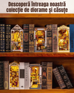 orasul-insorit-descopera-intreaga-colectie-de-casute-diorame-in-miniatura