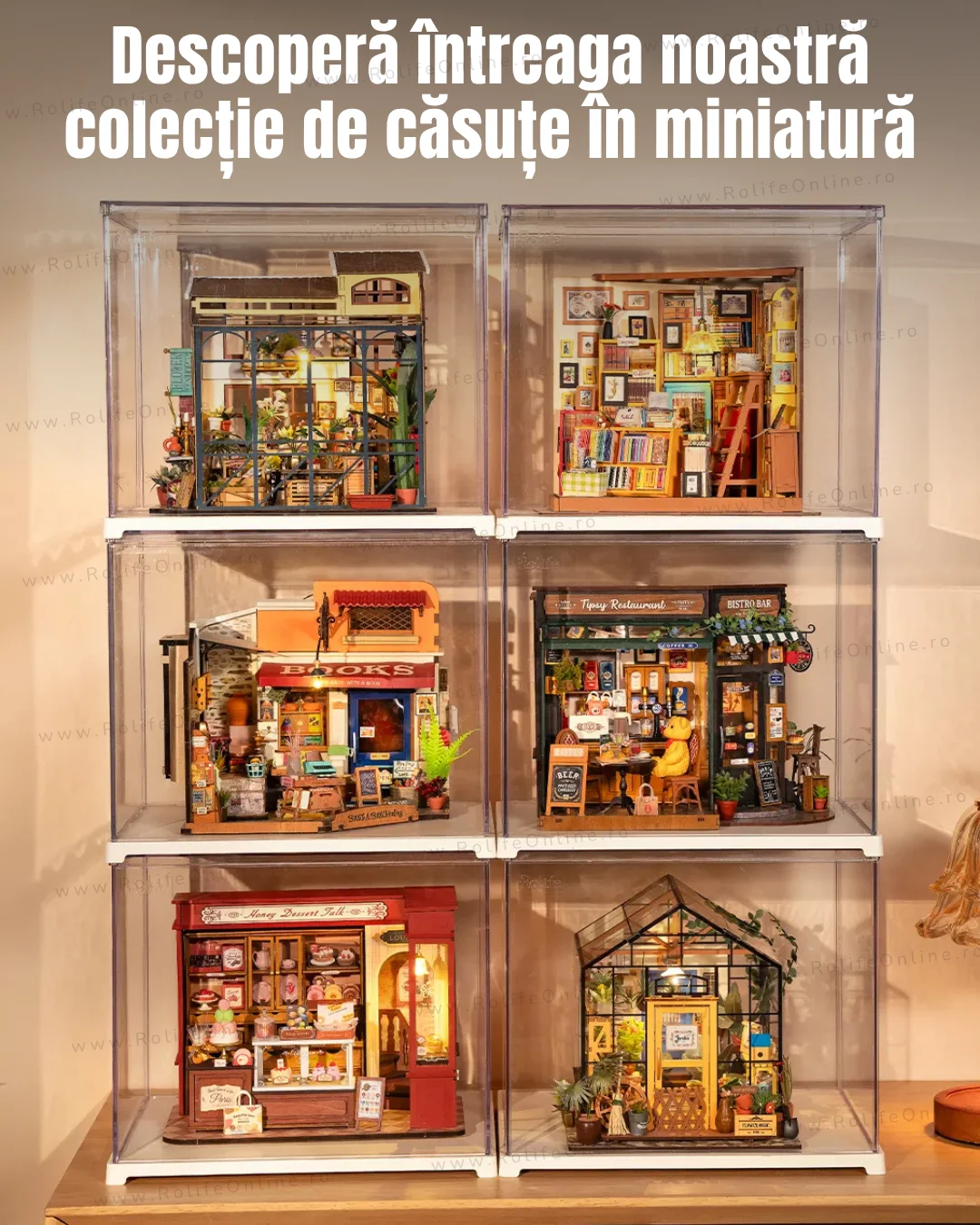 libraria-de-la-colt-descopera-intreaga-colectie-de-casute-in-miniatura