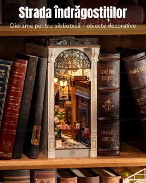 strada-indragostitilor-decoratiune-camera-raft-carti